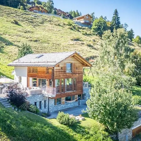 Tigers Nest In Swiss Alps Villa